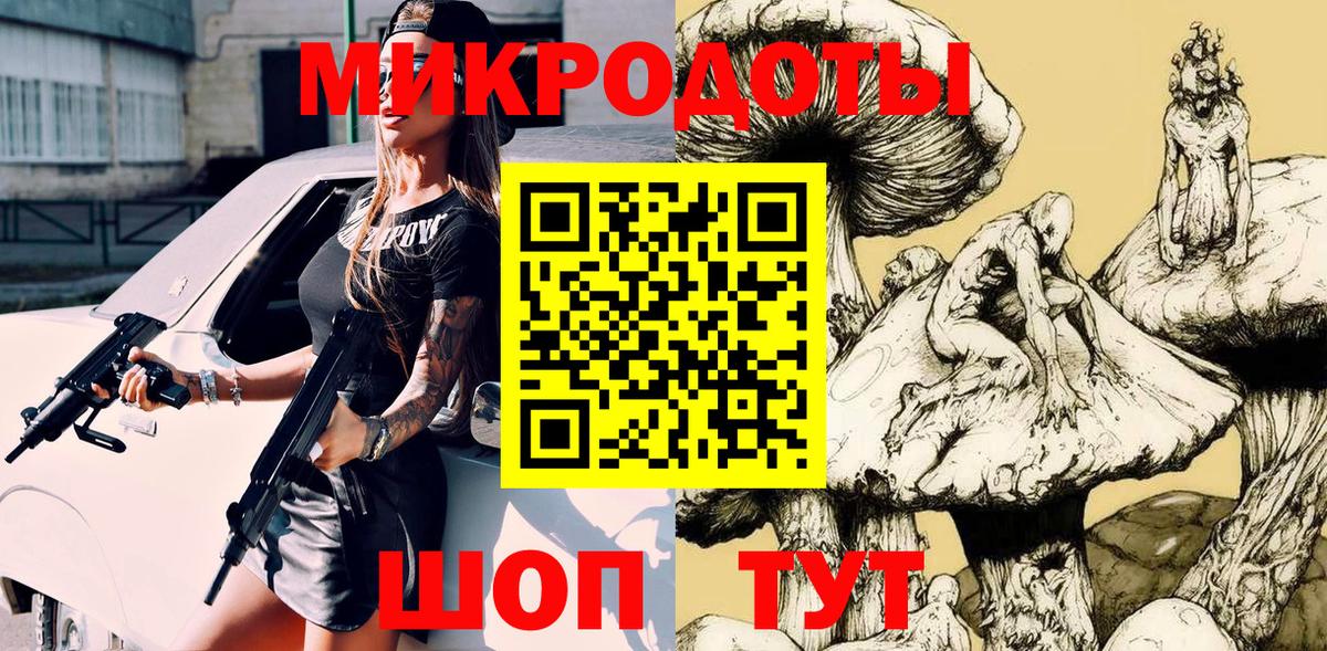 Псилоцибиновые грибы Psilocybe Вязьма